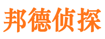 嘉黎侦探公司